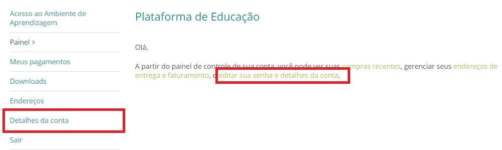 Detalhes-da-conta